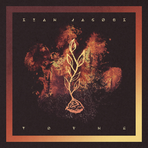 就想操老太太逼视频
