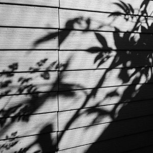 就想操老太太逼视频
